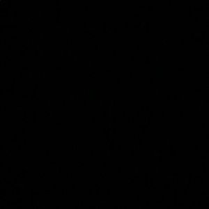 Meet your Posher, Max